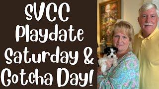 SVCC Puppy Adventures & Update September 14, 2024