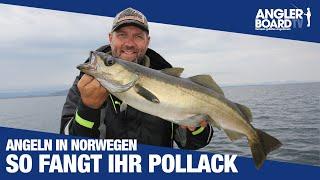 So fangt Ihr Pollack | Angeln in Norwegen | Tipps zum Pollackangeln mit Gummifisch | Anglerboard TV