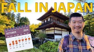 Japan in Fall 2024: Your Autumn Travel Tips