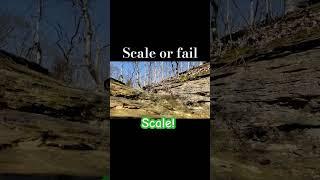 Scale or Fail