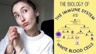 INTRODUCTION TO THE IMMUNE SYSTEM & WHITE BLOOD CELLS | BIOLOGY WITH HOLLY