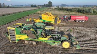 Potato Harvest | 2x Ploeger AR-4BX | Self propelled potato harvesters | Case Optum 340 | De Nood