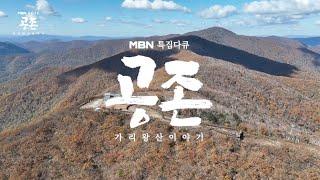 MBN 특집다큐 "공존" 가리왕산이야기