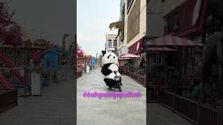 cute panda video #panda #shorts