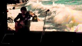 Ebon coast (Andy McKee)/ исп.  Панна-Котта (Барнаул)