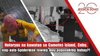 Notoryus na kawatan, nag-aala-Spiderman tuwing may papasuking bahay?! | Kapuso Mo, Jessica Soho