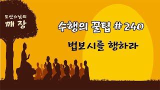 법보시를 행하라.