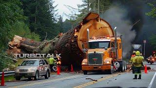 Extreme Logging Trucks | Extreme Dangerous Fastest Big Chainsaw Cutting Tree Machines #11