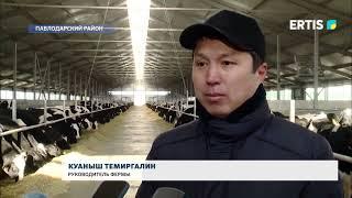 Новая молочная ферма