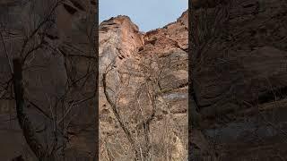 March 16, 2025 Zion