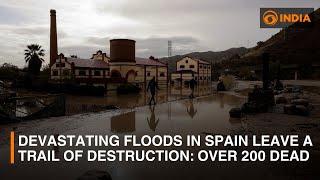 Devastating floods in Spain leave a trail of destruction: Over 200 dead | DD India News Hour