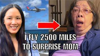 I Travel From Hawaii To San Francisco To Surprise Mom