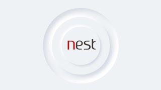 Marketing Nest - Keep Searching...