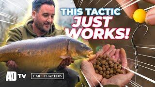 Carp Fishing Winter/Spring Tactics Blasford Hill - Carp Chapters