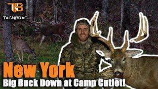 New York Bowhunting - Massive 8 Point