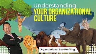 Understanding Your Organization Culture - Profiling Tool