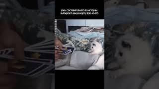слив с офисов ФИПИ  тгк про егэ: godunova_saharov #егэ2026 #история #историяегэ