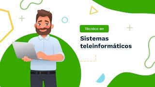 Técnico en sistemas teleinformaticos