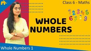Whole Numbers for Kids | Class 6 Maths