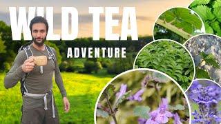 I Foraged Wild Ingredients to Make the Perfect Cup of Tea