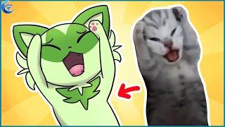 All the meme cats but they are poorly drawn cat Pokemon