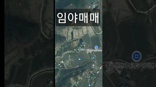 천안시 동남구 광덕면 무학리 임야매매