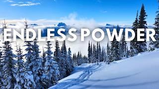 Skiing Revelstoke Backcountry with 15cm of Fresh Snow