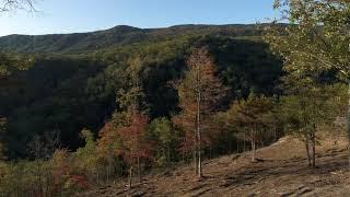 Smoky Bluff Trail Lot 173 | The Summit on Bluff Mountain | Sevierville, Tennessee