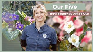 Our 5 Most Frequently Asked Questions | The Greenery Garden & Home