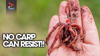 Carp Can't Resist This! | Ali Hamidi's WORM Rig | Carp Fishing | One More Cast