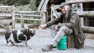 The men who brought the kunekune pig back from the brink