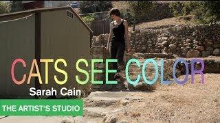 Sarah Cain - The Artist's Studio - MOCAtv