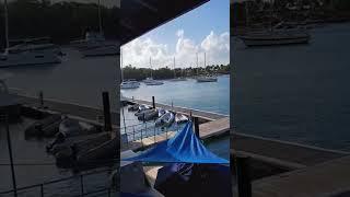 #travel #travelvlog #vlog #relax #travelphotography #travelpics #stvincentandthegrenadines