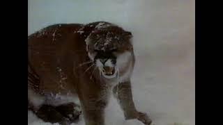 Walt Disney's "Killers of the High Country" Season 6 Ep 3