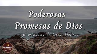 Promesas de Dios que cambiarán tu vida | 30 min de versículos bíblicos para motivarte | La Biblia