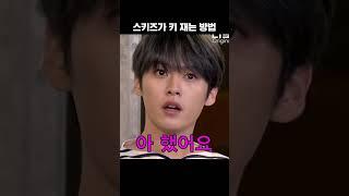 [스트레이키즈] 드디어 스키즈 키 공개