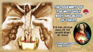 June 22, 2025 / The Solemnity of the Most Holy Body and Blood of Christ