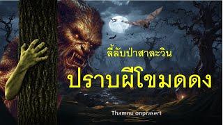 ๑๕๘.ปราบผีโขมดดง ลี้ลับป่าสาละวิน