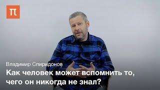 Трейлер к курсу "Психология творчества: как рождаются креативные решения"