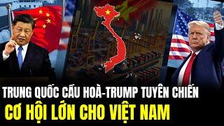 Trung Quốc Cầu Hòa - Trump Tuyên Chiến, Cơ Hội Lớn Cho Việt Nam | Lịch Sử Quân Sự