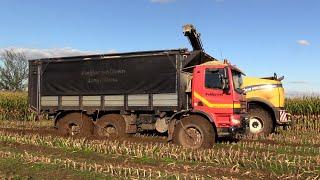 Maïs 2024 | 2x Ginaf 6x6 met grote banden slippen door de enkele natte plekken | Maize harvest