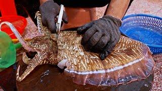 Amazing！Cutting Huge Cuttlefish at Taiwanese Seafood Market