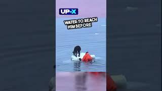 Моряк спас собаку  #история #новости #шортс #сегодня #видео #животные