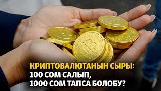 Криптовалютанын сыры: 100 сом салып, 1000 сом тапса болобу?