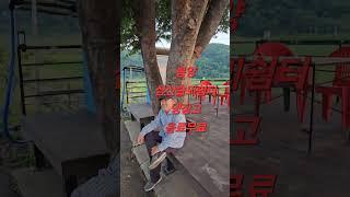 젊은이 있고 활기찬 솔뫼마을 #봉양면 삼산리#경상북도 #의성군