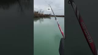 5 ore di pace finalmente #fishing #pesca #fish #branzino #perte #pescabolognese #gamberovivo