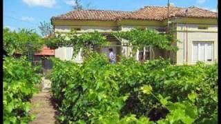 house with big garden for sale in Bulgaria.wmv