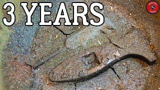 I Did Not Expect This: 3 Years in Rust Remover