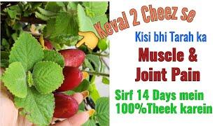 Cure your Muscle pain,Body pain & Bone Pain in just 14days,Complete Treatment Solutions, Dr Shalini