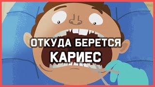 Edu: Откуда берется кариес?